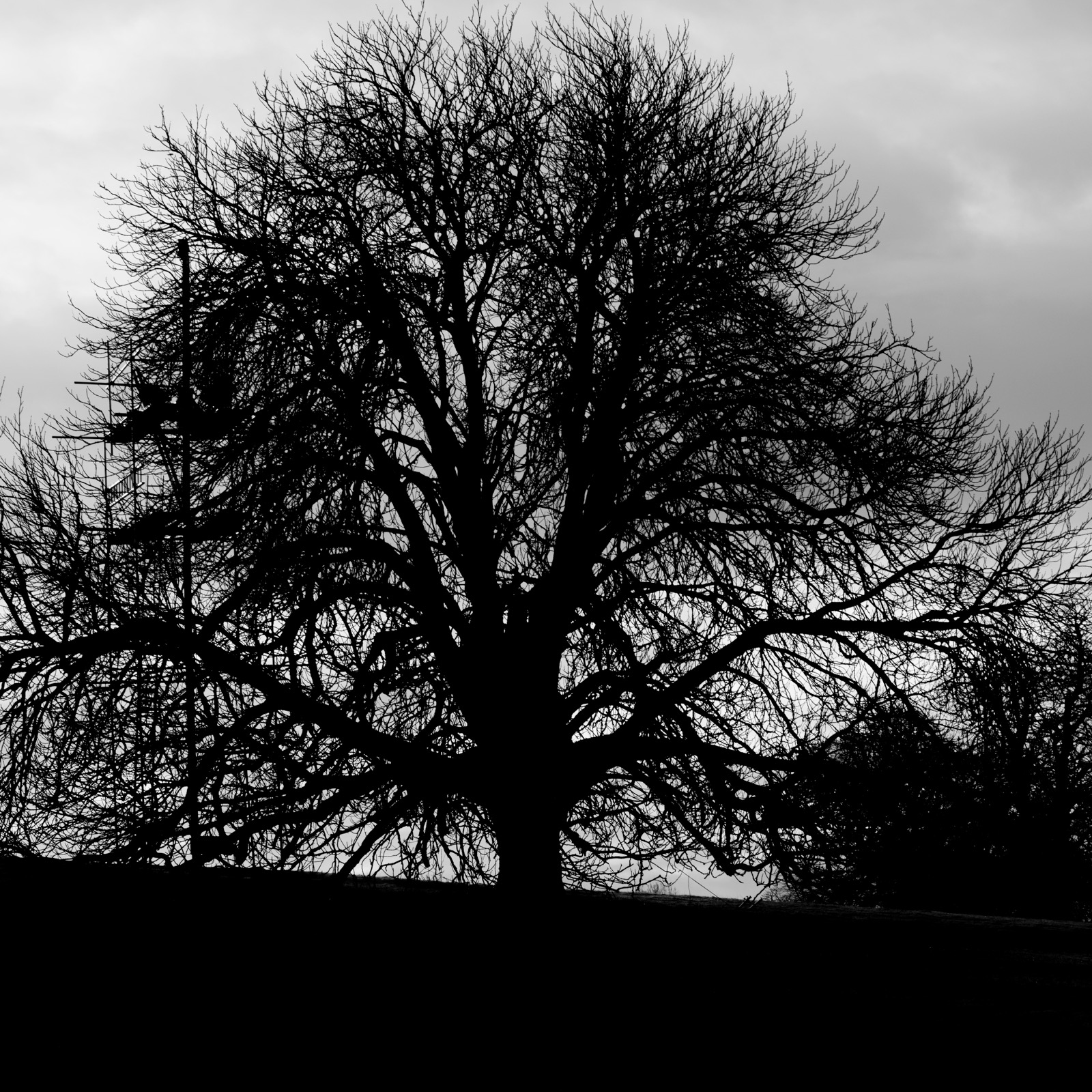 Listening To Series: 15